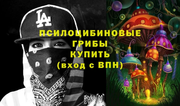 кокс Каменка
