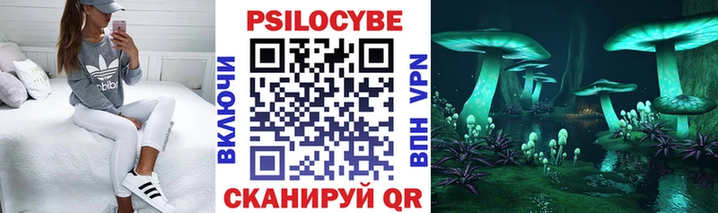 Псилоцибиновые грибы Psilocybe Купить закладки Асбест